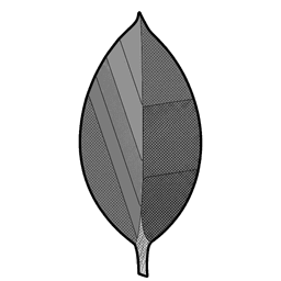 MongoDB skill icon